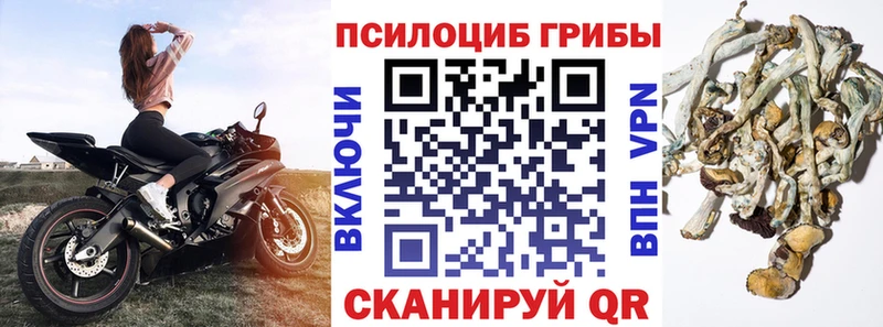 купить закладку Калачинск mega tor Псилоцибиновые грибы Psilocybe